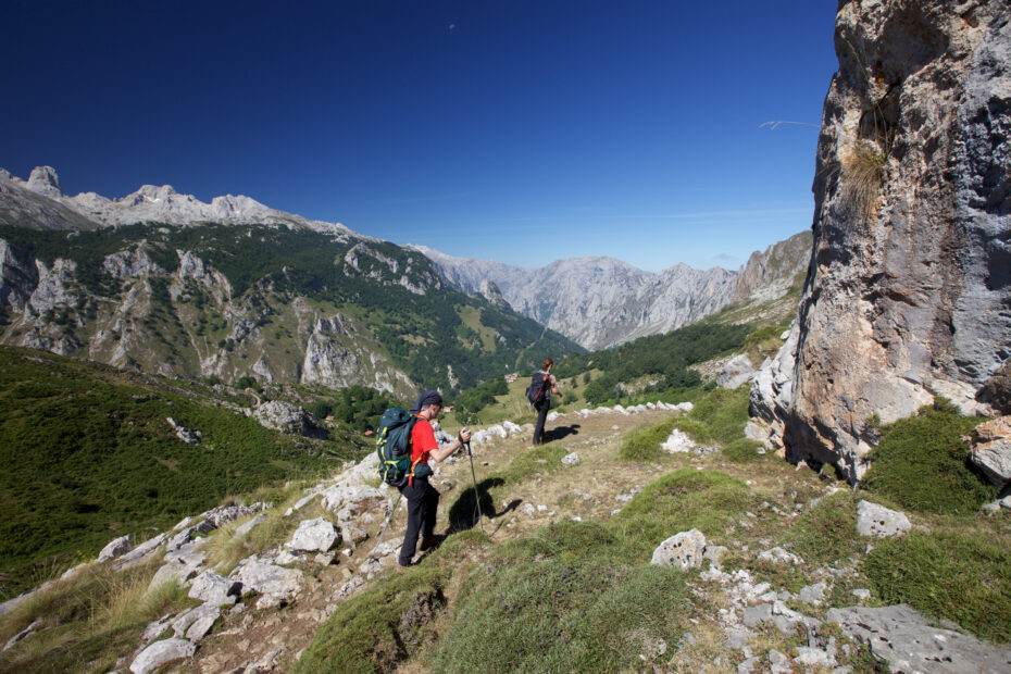 single wandelreizen